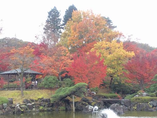 藤岡市桜山公園 スタッフブログ